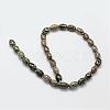 Tibetan Style 3-Eye dZi Beads Strands TDZI-G010-A04-2