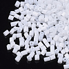 8/0 Two Cut Glass Seed Beads SEED-S033-01A-11-2