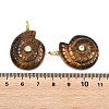 Natural Tiger Eye Pendants G-H353-02G-10-3