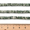 Natural Green Spot Jasper Beads Strands G-Z110-A18-2x4mm-5