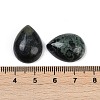 Natural Kambaba Jasper Cabochons G-H094-01A-29-3