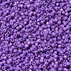 MIYUKI Delica Beads X-SEED-J020-DB0660-3