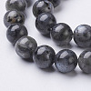 Natural Labradorite Beads Strand X-GSR8mmC128-2
