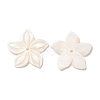 Natural Freshwater Shell Beads SHEL-F007-18-2