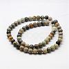 Natural Polychrome Jasper/Picasso Stone/Picasso Jasper Bead Strands G-G667-01-6mm-2