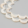 Electroplate Natural Freshwater Shell Beads Strands X-SHEL-T017-16D-3