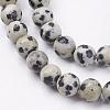 Natural Dalmatian Jasper Stone Bead Strands X-G-R193-14-6mm-3