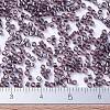 MIYUKI Delica Beads SEED-MY11-DB1760-4
