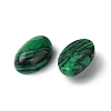 Synthetic Malachite Cabochons G-A094-01A-41-2