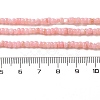 Natural Freshwater Shell Beads Strands SHEL-P017-01B-09-4