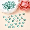 Preciosa® MAXIMA Crystal No Hotfix Flatback Stones Y-PRC-NSS10-50005-2
