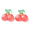 Resin Cabochons CRES-J046-03F-1