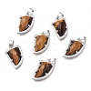 Natural Tiger Eye Pendants G-O176E-08P-1