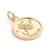 Brass Micro Pave Cubic Zirconia Pendants ZIRC-E164-34C-G-1