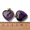 Natural Amethyst Pendants G-G287-01G-10-3