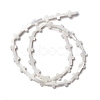 Natural Trochid Shell/Trochus Shell Beads SSHEL-O0001-22A-1