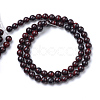 Natural Bloodstone Beads Strands X-G-R412-06-8mm-2