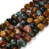 Natural Ocean Jasper Beads Strands G-P568-C06-01-2