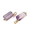 Natural Fluorite Pendants GG-N004-01G-03-2