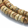 Natural Picture Jasper Beads Strands G-F631-A02-3