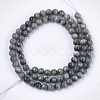 Natural Hawk's Eye Beads Strands G-S333-6mm-034-2