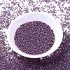 MIYUKI Delica Beads X-SEED-J020-DB1014-2