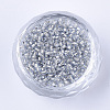 Glass Cylinder Beads SEED-Q036-01A-A09-2