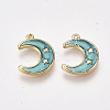 Brass Enamel Charms KK-T038-531G-1