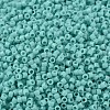 MIYUKI Delica Beads SEED-MY11-DB1136-1
