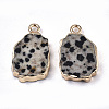 Natural Dalmatian Jasper Pendants G-N326-41H-2