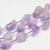 Natural Amethyst Bead Strands G-G937-M-03-1
