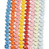 Handmade Porcelain Beads Strands PORC-C007-01-1