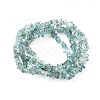 Natural Apatite Beads Strands G-F666-01B-01-2
