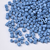 8/0 Two Cut Glass Seed Beads SEED-S033-06A-08-2