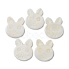 Natural Freshwater Shell Beads BSHE-P033-12-3