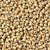 TOHO Round Seed Beads X-SEED-TR08-PF0557F-2