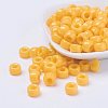Opaque Acrylic European Large Hole Beads PL338-74-2