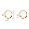 304 Stainless Steel Leverback Earring Findings STAS-G081-62G-2