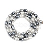 Electroplated Shell Pearl Beads Strands BSHE-H113-06C-02-2