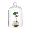 Glass Dome Cover ODIS-WH0078-20-6
