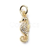 Brass Micro Pave Cubic Zirconia Charms ZIRC-F131-06G-1
