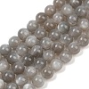 Natural Grey Moonstone Beads Strands G-G206-A01-10mm-2
