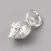 Brass Charms FIND-WH0159-63S-19-2