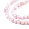 Natural Freshwater Shell Beads Strands X-BSHE-T009A-01C-3