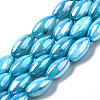 Freshwater Shell Beads Strands SHEL-N026-141C-1