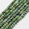 Natural Turquoise Bead Strands G-P270-2mm-18-1