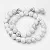 Natural Howlite Beads Strands G-D809-16-10mm-2