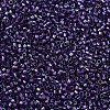 MIYUKI Delica Beads SEED-X0054-DB1756-3