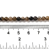 Natural Chiastolite Beads Strands G-Q161-A03-01-5