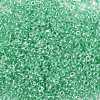 12/0 Glass Seed Beads SEED-A015-2mm-2218-2